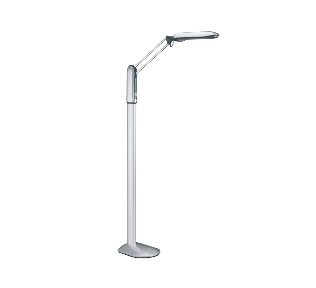 Pure Vision LED  XL Floor Lamp
