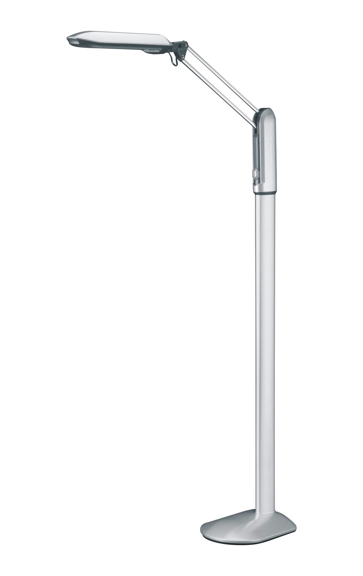 Pure Vision LED  XL Floor Lamp